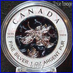 1819-2019 Bicentennial Celebration Maple Leaf Pure Silver Fractional 5-Coin Set