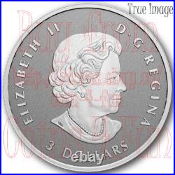 1988-2023 35th Anniversary Silver Maple Leaf 5-Coin Fractional Proof Set Canada