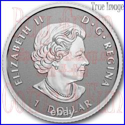 1988-2023 35th Anniversary Silver Maple Leaf 5-Coin Fractional Proof Set Canada