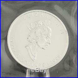 1999-2000 $5 Canada Silver Maple Leaf Coin Privy Fireworks 1 OZ Fine 9999 Lot 4