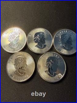 1.5 oz 2013 Royal Canadian Mint Polar Bear Silver Bullion Coin