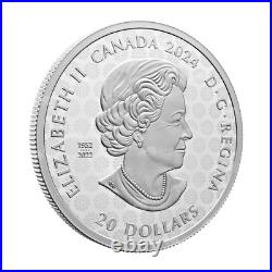 1 oz 2024 Celebrating Canada's Diversity Transcendence and Tranquility Silver C