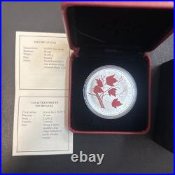 2004 $5 Coloured Maple Leaf Winter Pure Silver Coin