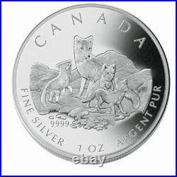 2004 Arctic Fox 4 Coin Fractional Proof Set. 9999 Silver RCM Canada COA & Case