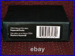 2004 Canada $20 Natural Wonders Series Hopewell Rocks 1oz. 999 Gilt Silver Coin