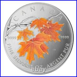 2007 Canada $5 Fine Silver Coin Sugar Maple in Orange