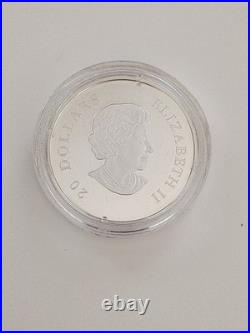 2010-Canada $20 Holiday Pine Cones Moonlight. 9999 Silver Coin With OGP & COA