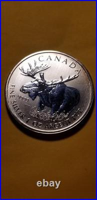 2012 Canada Moose 1 Oz Fine Silver Coin Rare Beauty