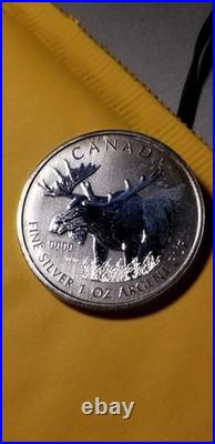2012 Canada Moose 1 Oz Fine Silver Coin Rare Beauty