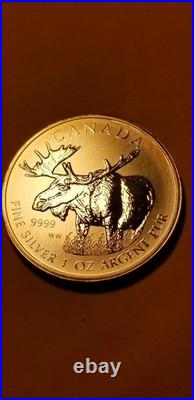2012 Canada Moose 1 Oz Fine Silver Coin Rare Beauty