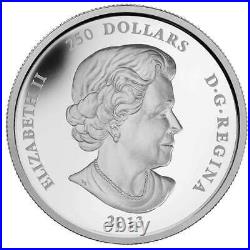 2013 $250 Canada's Arctic Landscape Pure Silver Kilo Coin