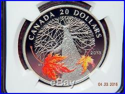 2013 Canada $20 Canadian Maple Canopy Autumn Colored Silver Coin Ngc Pf70 Uc Fr