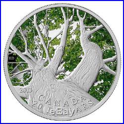 2013 Canada $20 Fine Silver Coin Maple Canopy Spring