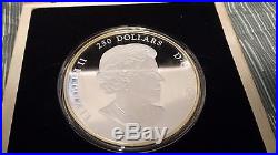 2013 Canada $250 1kg Silver Coin Maple Leaf Forever Low mintage