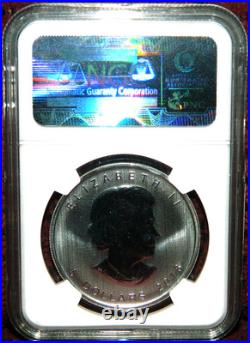 2013 Canada $5 Silver Maple Leaf 25th Anniversary 1oz Silver Coin Ngc Gem Bu