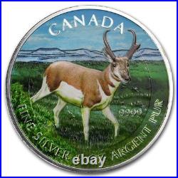 2013 Canada RCM Full Color Pronghorn Antelope Wildlife 1 oz Silver 0.9999 coin