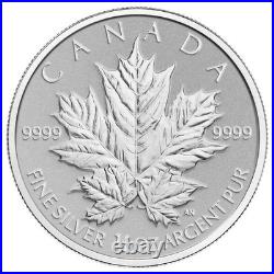 2013 The Silver Maple Leaf Coin, 25th Anniversary Pure Silver Fractional Set
