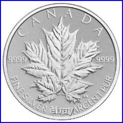 2013 The Silver Maple Leaf Coin, 25th Anniversary Pure Silver Fractional Set