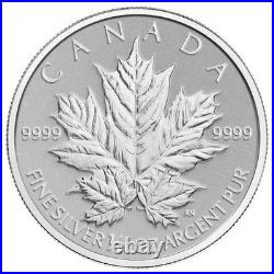 2013 The Silver Maple Leaf Coin, 25th Anniversary Pure Silver Fractional Set