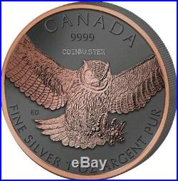 2014,2015 4 Oz Silver $5 GOLDEN ENIGMA BIRDS OF PREY Set Coins