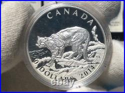 2014 $20 Fine Silver Coins Cougar 3 Coin Set