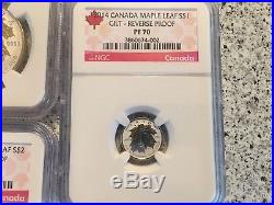 2014 5pc Coin Set Canada Maple Leaf Label Gilt Reverse PF/70 Silver Eagle