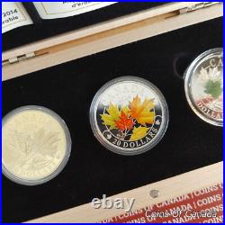 2014 Canada $20 Majestic Maple Leaves 3 Coin Set with Wood Box #coinsofcanada