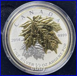 2014 Canada Fine Silver Fractional Maple Leaf 5 Coin Set. E-069