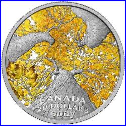 2014 Canada RCM $20.9999 Fine Silver Maple Canopy Autumn Allure Colorized coin