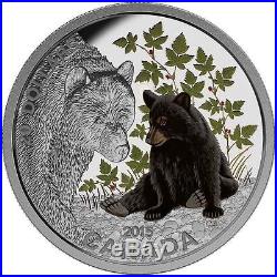 2015-2016 Canada Baby Animal Set 4 coins $20 1oz pure silver Exclusive Box