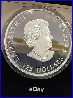 2015 Canada $125 Fine Silver Coin Grey Fox Series 500g 1/2 kilo RAR