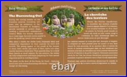 2015 Canada $20 Baby Animals Burrowing Owl Coin and Stamp Set, 1 oz Fine Silver