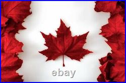 2015? Canada Maple Leaf 1 oz Silver E=mc2 Privy Reverse Proof NGC PF 69