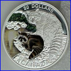 2016 $20 Baby Animals Baby Raccoon, 1 oz 99.99% Pure Silver Color Proof Coin