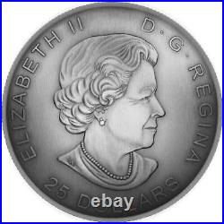 2016 $25 The Library of Parliament Pure Silver Coin