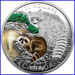 2016 Canada $20 Baby Animals Raccoon 1 Ounce Pure Silver Coin