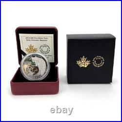 2016 Canada $20 Baby Animals Raccoon 1 Ounce Pure Silver Coin
