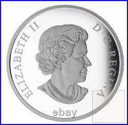 2016 Canada $25 Coat of Arms Piedfort 99.99% Silver coin HAS TONING