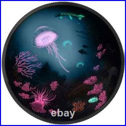 2016 Canada $30 Luminescent Life Under the Sea 2 Ounce Pure Silver Coin 2016 Canada $30 Luminescent Life Under the Sea 2 Ounce Pure Silver Coin
