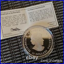 2016 Canada $30 Northern Lights in the Moonlight Fine Silver Coin #coinsofcanada