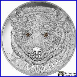 2016 Kilo'In The Eyes of the Spirit Bear' $250 Silver Coin. 9999 Fine (17572)