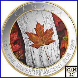 2016 Kilo'Maple Leaf Forever' Color Gold-Plated $250 Silver Coin. 9999(17706)NT