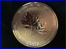2017 10 oz. $50 Canada Maple SILVER. 9999 purity coin