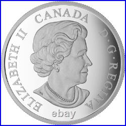 2017 Canada $20 Brilliant Birch Leaves with Drusy Stone Pure Silver Coin RCM