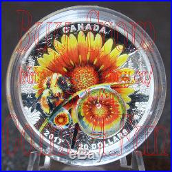 2017 Mother Nature's Magnification #1 Beauty under the Sun $20 Pure Silver Coin