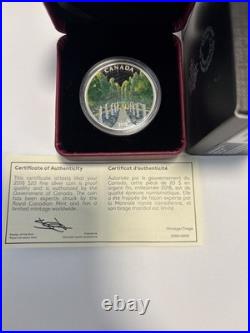 2018 $20 Fine Silver Coin Maple Tree Tunnel