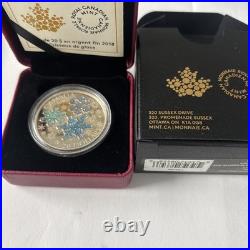 2018 $20 fine silver coin ice crystals