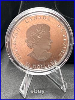 2018 Canada $20 Fine Silver Coin & Bronze Medallion 100th Anniversary CNIB 2018 Canada $20 Fine Silver Coin & Bronze Medallion 100th Anniversary CNIB