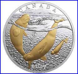 2018 Canada $20 Fine Silver Coin From Sea to Sea to Sea Arctic Beluga Whale