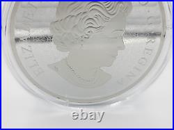 2019 10 oz. Fine Silver Canadian Maples $100 Proof Coin. 9999 BU